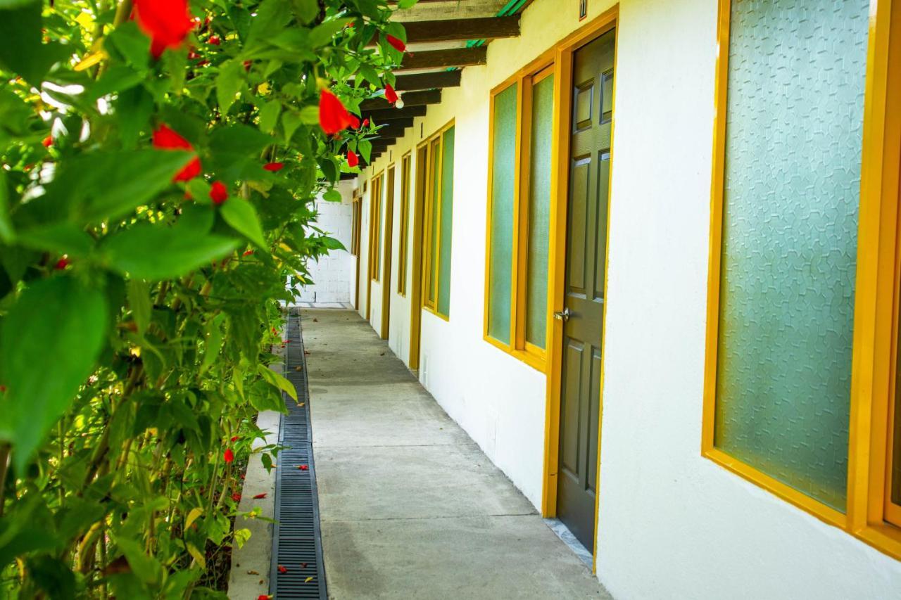 Hotel Villa Bosco Palmira  Extérieur photo